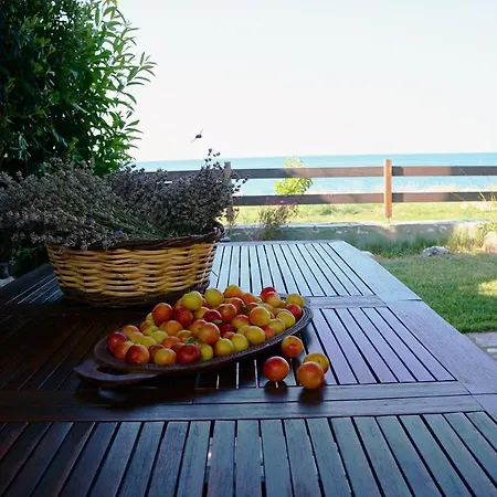 Tilion Seafront Garden Chorefton